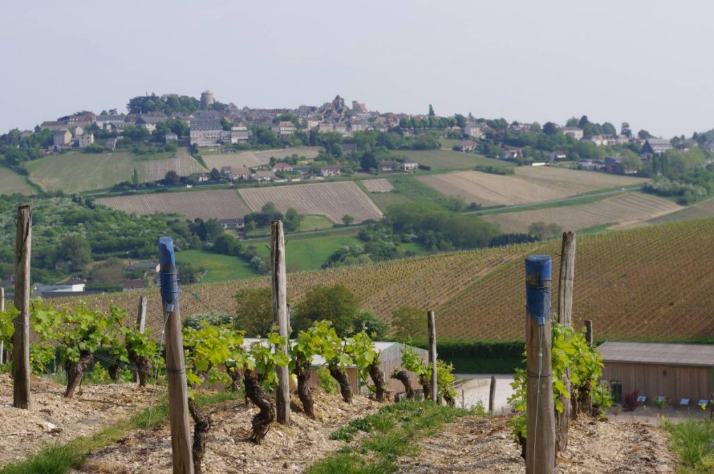 Vue de Sancerre et du vignoble