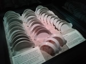 Lire la suite à propos de l’article Le retour des objets du Titanic à Paris